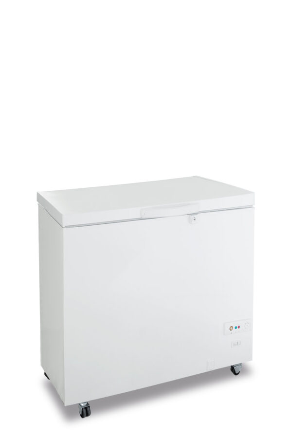 Congelatore statico a pozzo porta cieca battente