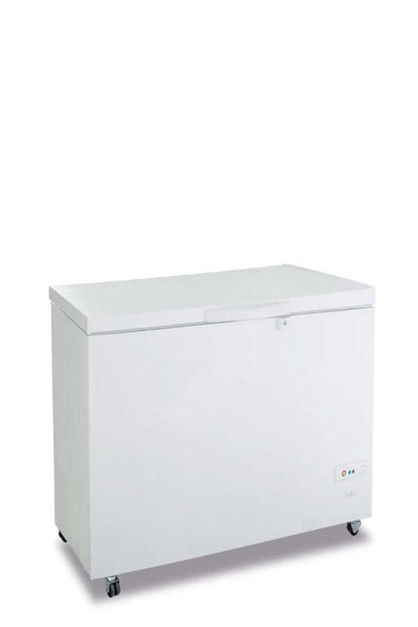 Congelatore statico a pozzo porta cieca battente