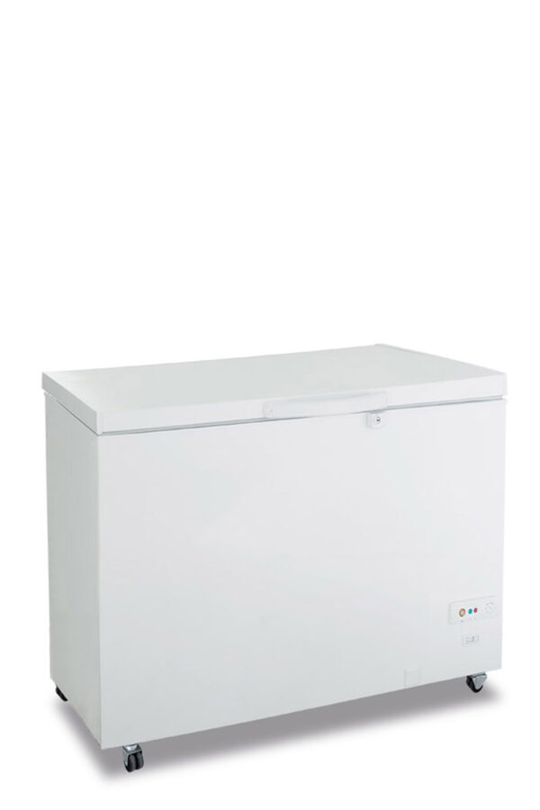 Congelatore statico a pozzo porta cieca battente