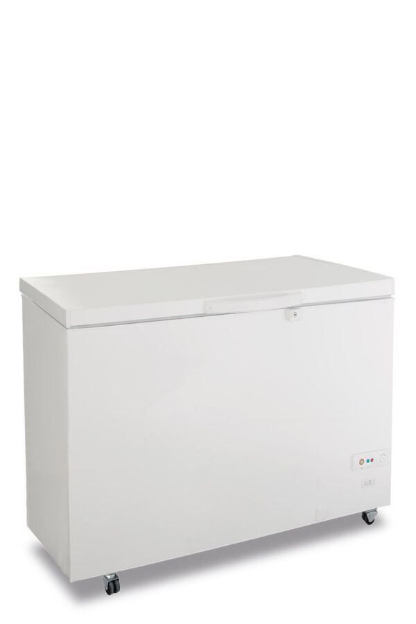 Congelatore statico a pozzo porta cieca battente