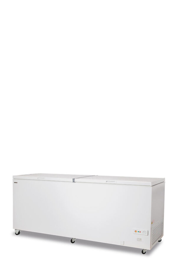 Congelatore statico a pozzo doppia porta cieca battente