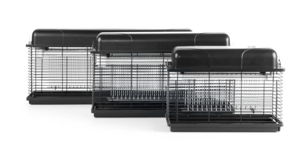 Apparecchio insetticida resistente all´acqua