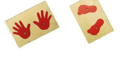 MANI E PIEDI PUZZLE IN LEGNO