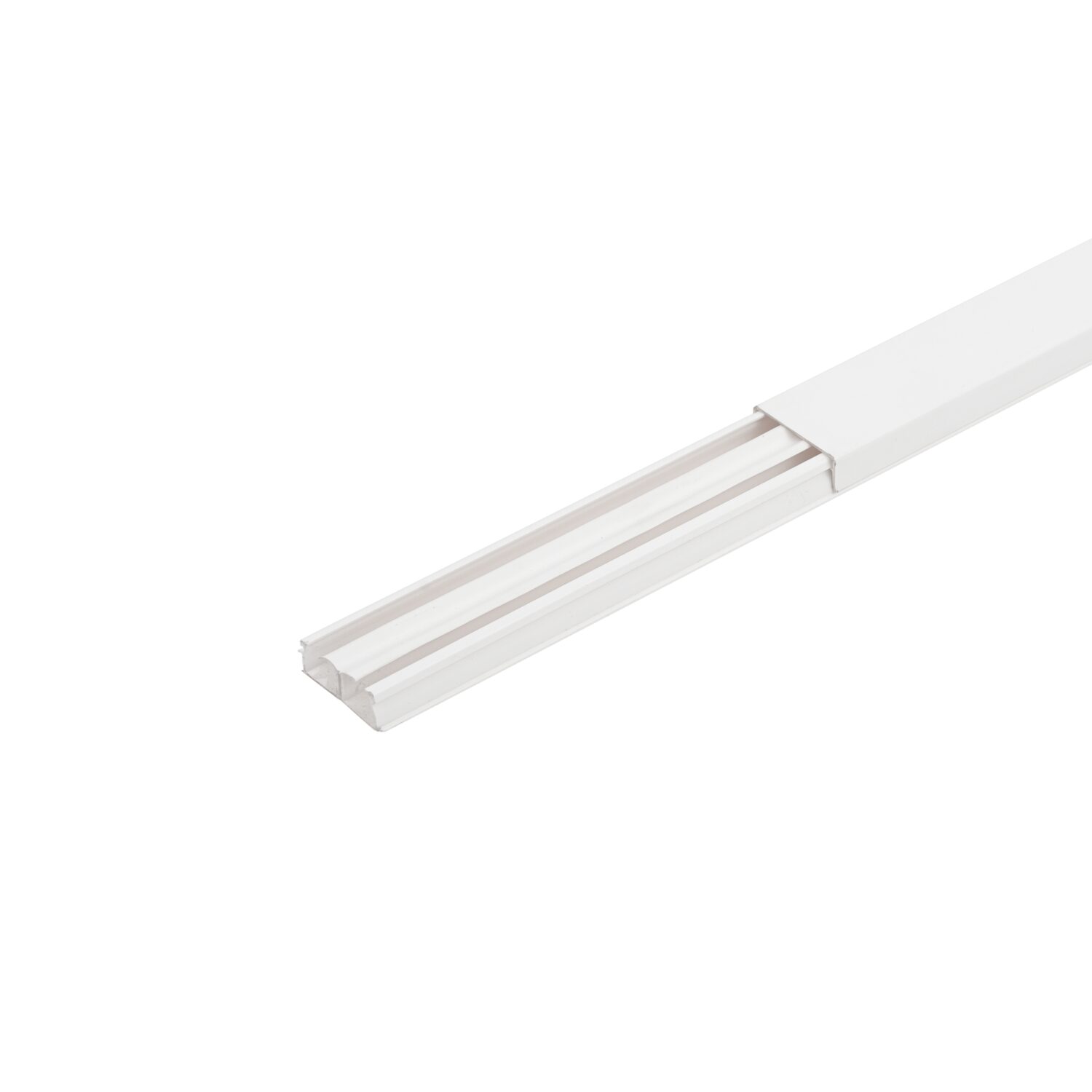 Opt canalina scaled canalina